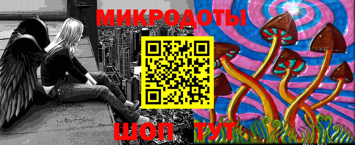 Галлюциногенные грибы Psilocybine cubensis Семёнов
